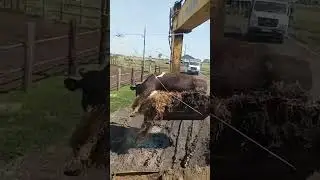 ЩА ВСЕХ НАКОРМИМ