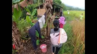 Village life at Ranau Sabah Malaysia for pesta keaamatan. Traditional village life