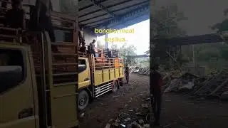 Bongkar Muat Besitua #besitua