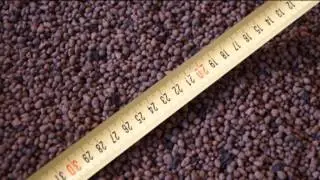 Сухая стяжка, Элементы пола, сухая засыпка Компэвит.