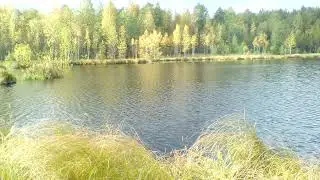 Озеро Маковское 2020 год