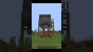 Minecraft top 3 myths that you should know 🔥#shorts