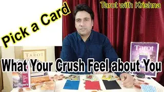 Pick a card ~ What Your Crush Feels About You ~ Astroguru