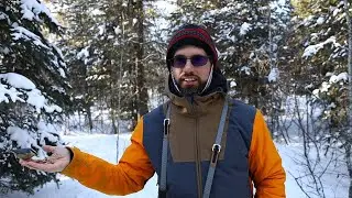 Cold weather bird photography