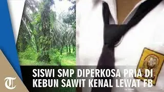 Siswi SMP Diperkosa Pria 38 Tahun di Perkebunan Sawit yang Kenal lewat Facebook