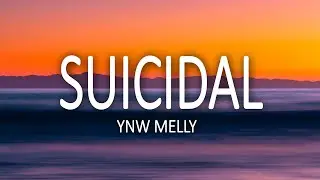 I swear to god you stupid b*tch | YNW Melly - Suicidal (Lyrics)