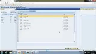 How to create Domain and Data element in SAP