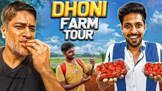 MS DHONI Strawberry Farm Tour 🍓😍
