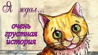 Грустная история про кота.