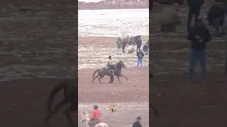 Бузкаши н.Данғара Қобил човандоз бо аспи Акои Насим н.Темурмалик д.Ҷорубқул асп бо номи “Снайпер”