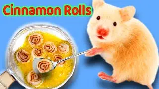 Our Cute Hamster Chef Cooking Miniature Fried Cinnamon Rolls