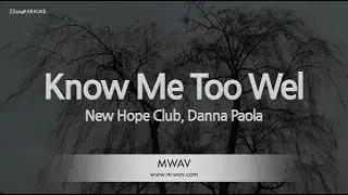 New Hope Club & Danna Paola – Know Me Too Well (Melody) (Karaoke Version)