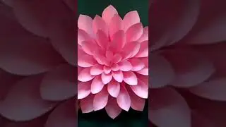 DIY Paper Flower #Shorts
