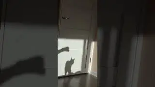 Бой с тенью!!!
