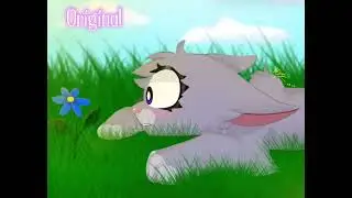 @Miska Dragon /#contest_catandnature