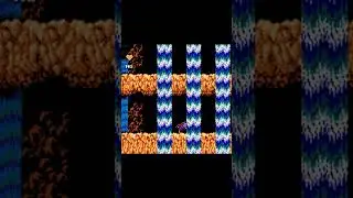 ЧЁРНЫЙ ПЛАЩ НА ДЕНДИ / DARKWING DUCK NES, 9