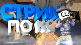 Стрим по КС ГО, бесплатное лобби, 0+, без мата.