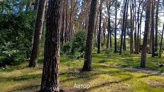 24.06.2024 О настоящем и намерениях будущего