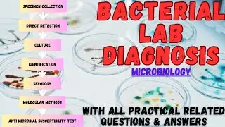 Bacterial Lab Diagnosis | Lab Diagnosis in Microbiology | Practical Related Q&As | The Chill Medico