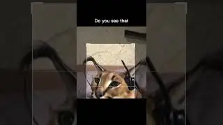 Do you see that 