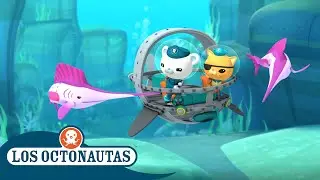 Los Octonautas Oficial En Español - Navegando con los veloces peces vela | Episodios Completos