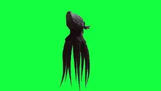 OCTOPUS GREEN SCREEN