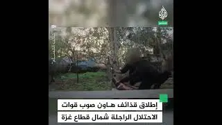 free🇵🇸🇵🇸🇵🇸