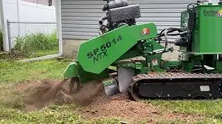 Carlton 5014 NTX Mulberry Stump Grind