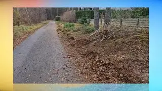 Grass and shrub trimming and removal / Zāles un krūmu trimmerēšana un to izvešana