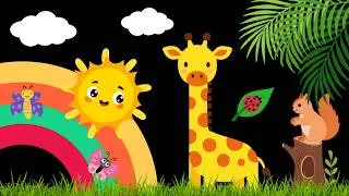 Baby Sensory Video – Newborn Visual Stimulation – Sensory Videos for Babies - Tummy Time 