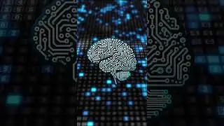What programming language is used for artificial neural networks? #top