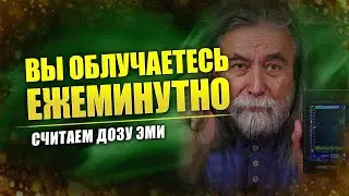 Суммарная доза облучения ЭМИ // Реальность далека от безопасного порога