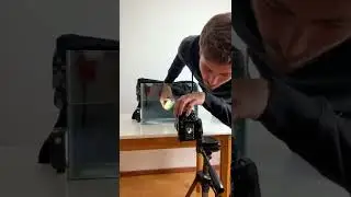 Fotografía de producto con Splash 📸 