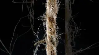 Jute rope in close up macro #macro #jute #closeup #rope #asmrsounds