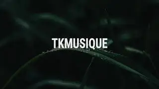 Shibo - pH (feat. Nick Dorian)