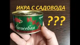 ИКРА КРАСНАЯ  С Садовода , Поддельная или нет?