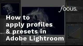 How to apply presets and profiles to your photos in Adobe Lightroom