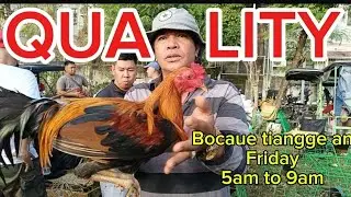 MAGAGANDA QUALITY MANOK SA BOCAUE BULACAN  TIANGGEAN(MEDYO PRICEY LNG) #BAKWITTV