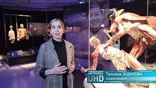 НОВОСТНОЙ СЮЖЕТ - МИР ТЕЛА (АНАТОМИЧЕСКАЯ ВЫСТАВКА НА ВДНХ)