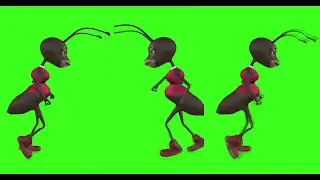 ANT #3  || GREEN SCREEN || 4k || ANIMATION  || FREE 3D