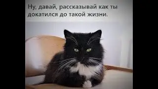 Рассказывай что до как?? 