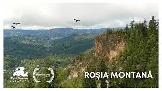SPOT RMM 2024