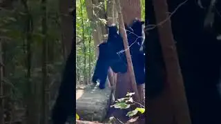 Ну, граждане, алкоголики, тунеядцы 