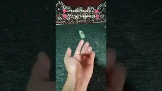 Магия с шампунем