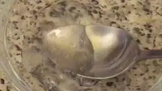 The quickest way to make slime using Elmers Magical Liquid 😱