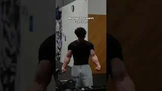 My Top 3 Forearm Exercises 🦾