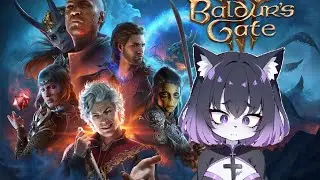 Baldurs Gate 3:Ocd/Adhd