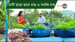 Deepto Krishi | দীপ্ত কৃষি - মাটি ছাড়া ছাদে মাছ ও সবজি চাষ | ময়মনসিংহ | deepto tv