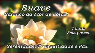 {MF} Equilíbrio, Harmonia, Serenidade, Plenitude. ⚖️ 🎶 🕊️ 🌟