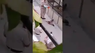 Dead body of peacock is covered with national flag \ National flag on National Bird.
